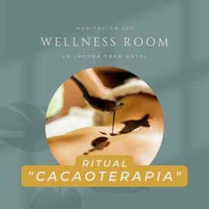 Cacaoterapia