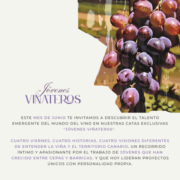 Jóvenes Viñateros Más que catas, serán encuentros cercanos para degustar, conversar y aprender directamente de quienes están dando forma al futuro del vino en Canarias. Cada sesión incluirá una selección de vinos comentados, además de pequeños bocados pensados para acompañar y realzar la experiencia.