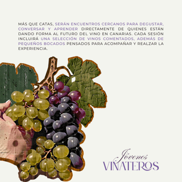 Más que catas, serán encuentros cercanos para degustar, conversar y aprender directamente de quienes están dando forma al futuro del vino en Canarias. Cada sesión incluirá una selección de vinos comentados, además de pequeños bocados pensados para acompañar y realzar la experiencia.